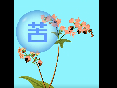 二维动画——九纪苦荞茶